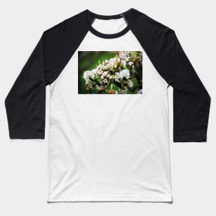 White Apple blossom Baseball T-Shirt